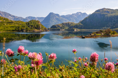 Obraz na płótnie fjord and mountains in Lofoten in Norway w salonie