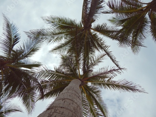 Miami