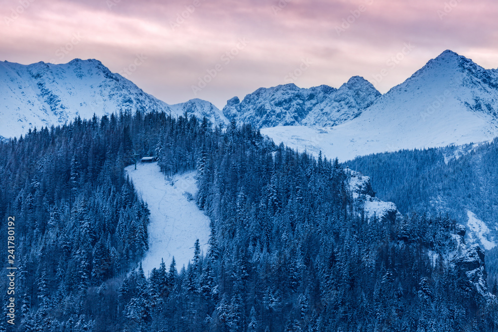 Naklejka premium Zimowa panorama Zakopanego