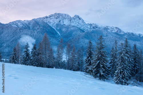 Fototapeta Naklejka Na Ścianę i Meble -  Winter panorama of Zakopane