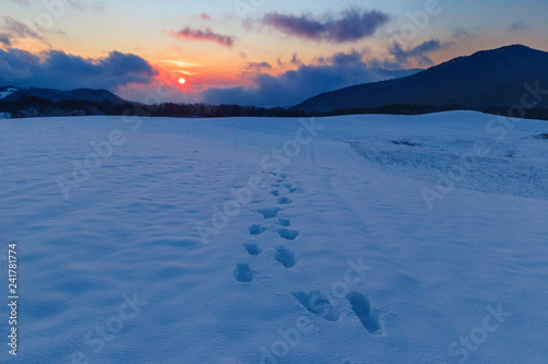 Frosty sunset in the mounta...