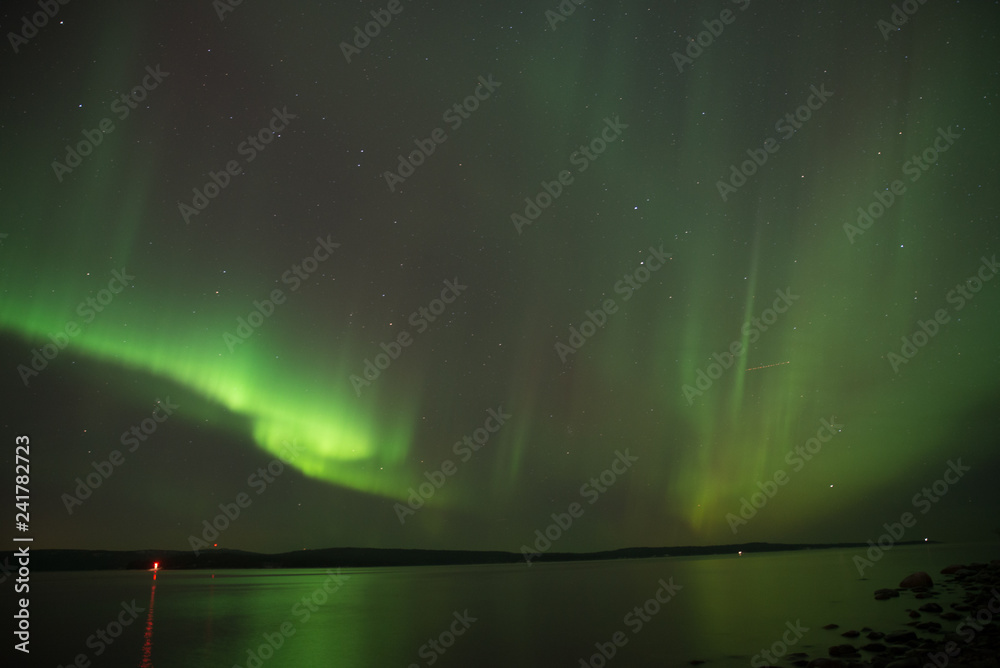 Fototapeta premium Aurora 