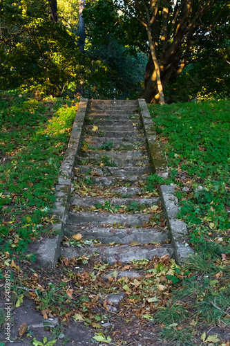 stairs leading up