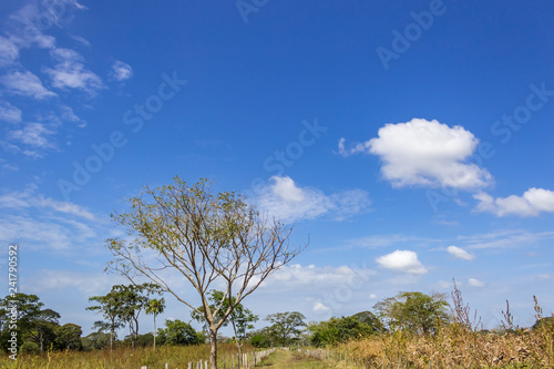 beautiful landscape in venezuela