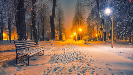 Winter evening in a central park.