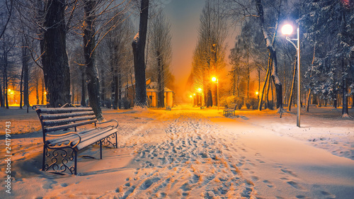 Foto Winter evening in a central park.