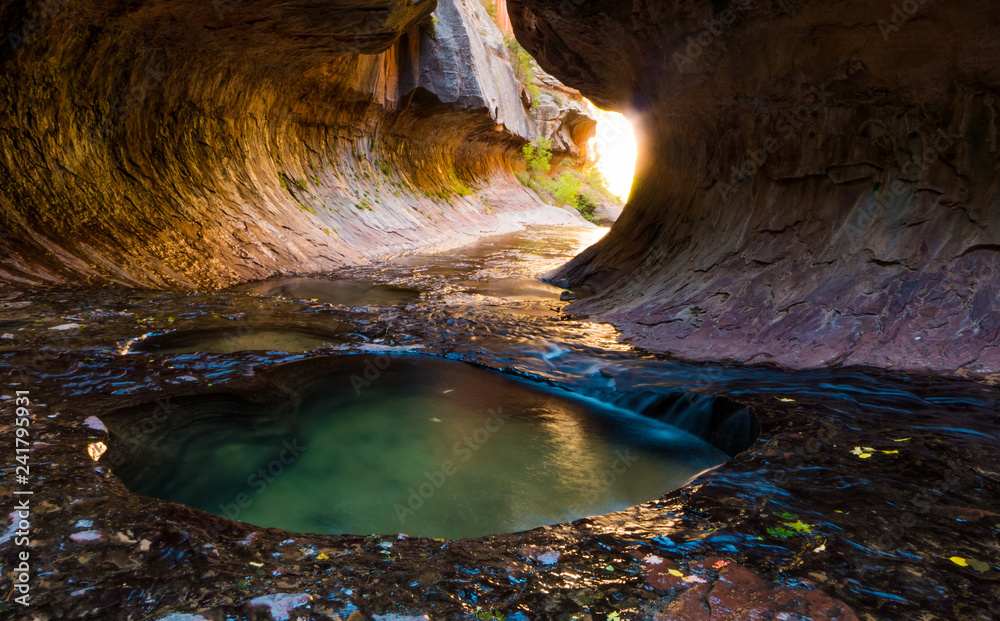 Small pool on the Subway hike, Zion National Park, Utah