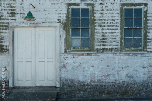 Tapety artystyczne Wall