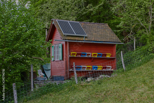 Bienenhaus (Schweizer System) in Münchenstein mit Kühen