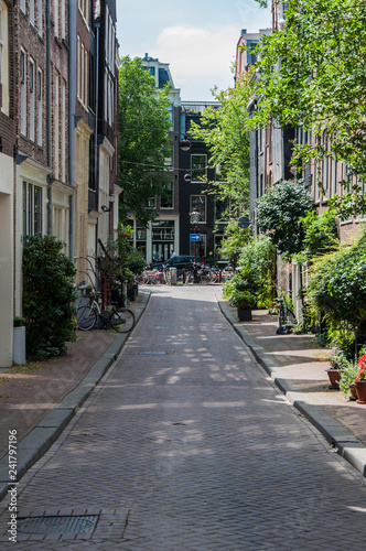 green residential street - amsterdam © wuiffiuw