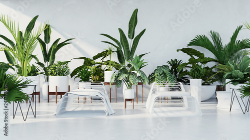 Botanical interior - Tropical design living room / 3D render image
