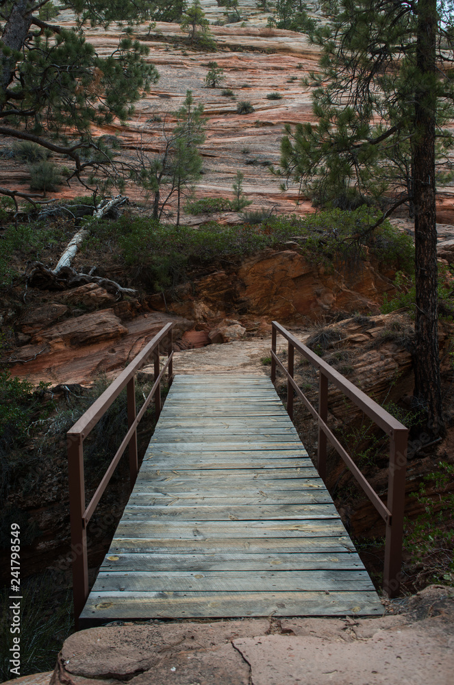 Bridge along hiking trail in Zion National Park