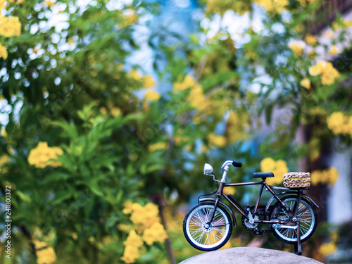 bicycle toy with yellow daisy flower in park green filed background 