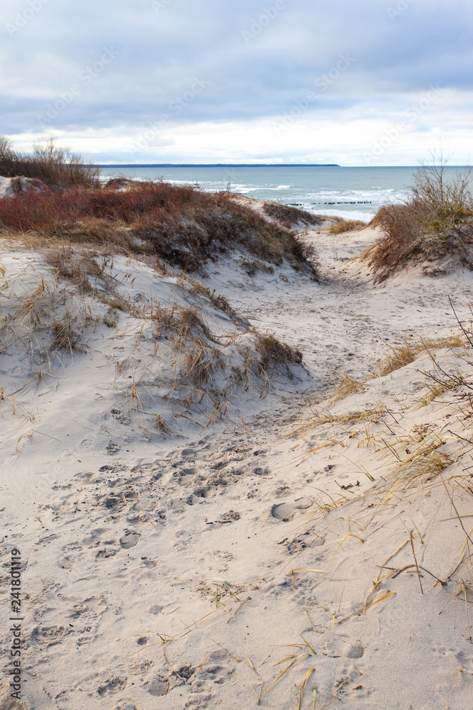 wild hilly sandy beach in cloudy weather wild hilly sandy beach in cloudy weather