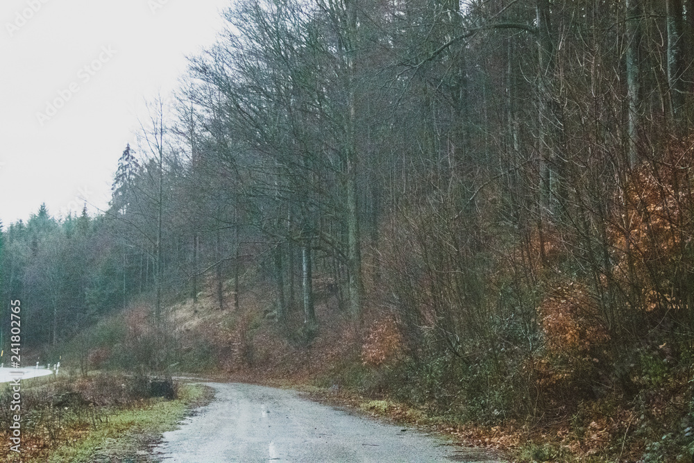 Naklejka premium German's Project