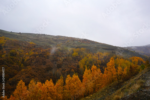 The seasonal  view of Havadorik Valley (derecik), Mus, Turkey © Selcuk