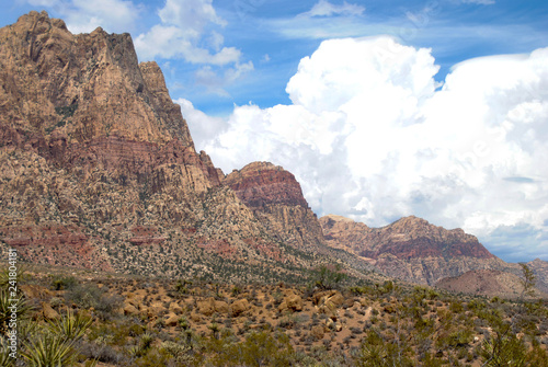 Nevada Desert