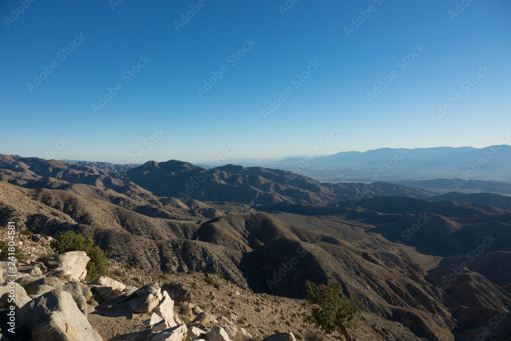 Key Vista at Joshua Treen National Park