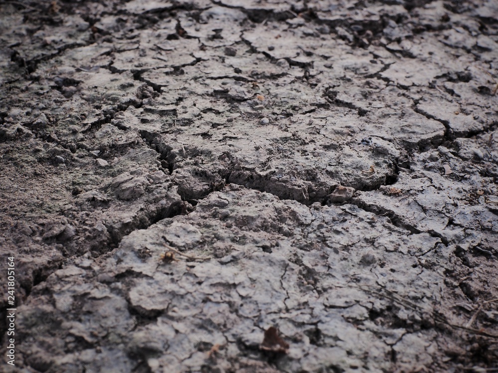 Dry ground cracked behind the house