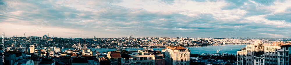 panorama of the istanbul city