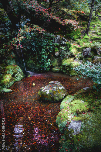 Autumnal leaves on the water