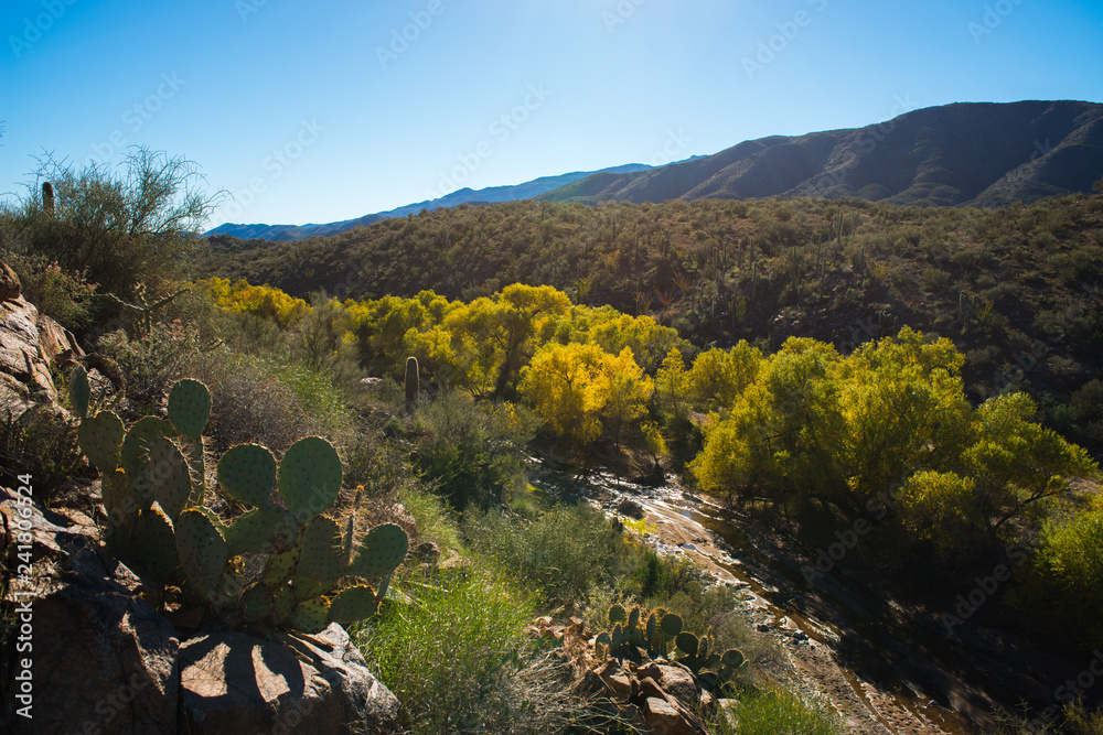 Autumn Landscape in the mountainous, colorful Arizona desert