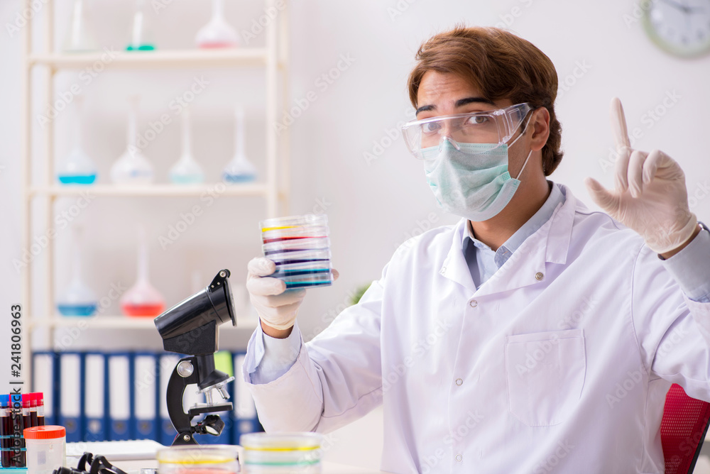 Young chemist working in the lab Young chemist working in the lab