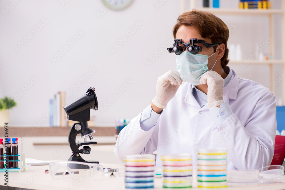 Young chemist working in the lab Young chemist working in the lab