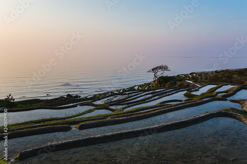 Rice terraces by the ocean on Noto Hanto Peninsula in Japan