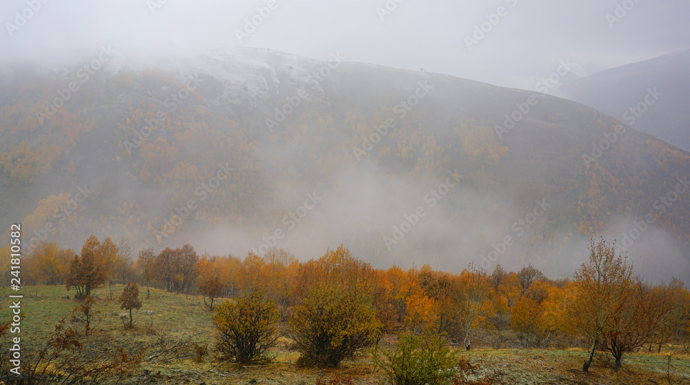 Fototapeta premium The seasonal view of Havadorik Valley (derecik), Mus, Turkey