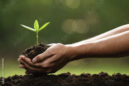 Hands holding and caring a green young plant