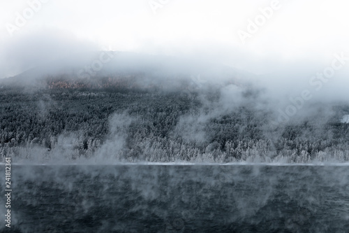fog in winter forest and over river