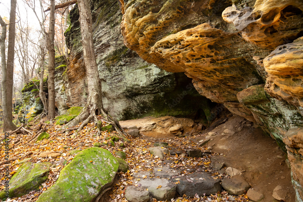 Fototapeta premium Sedimentary rock of Ritchie Ledges in Cuyahoga Valley National Park.