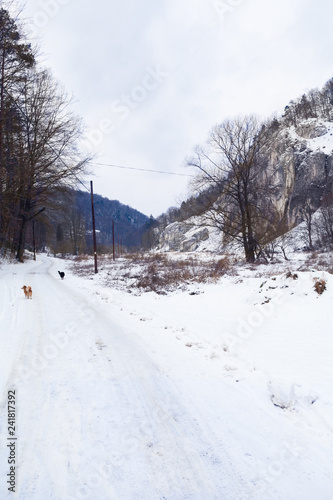 A touristic trail in Ojców, Cracow, Poland. Winter's landscape.