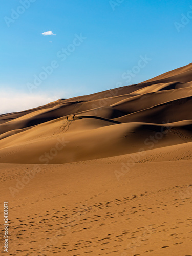 Sand Dunes Under a Warm Sun