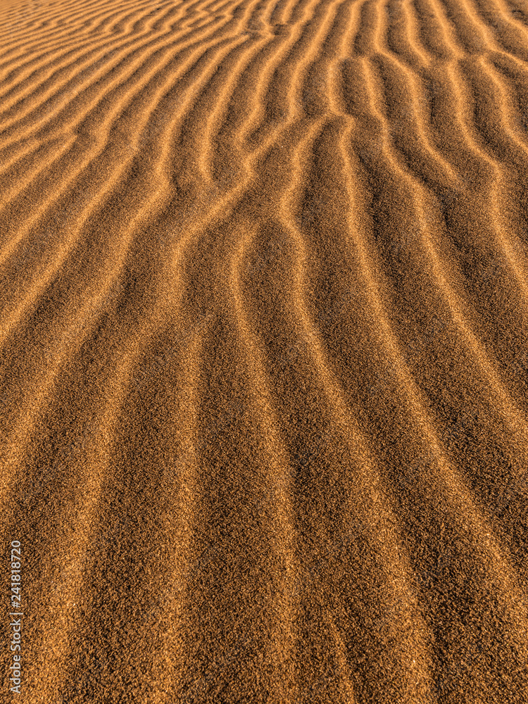 Fototapeta Sand Dunes Under a Warm Sun