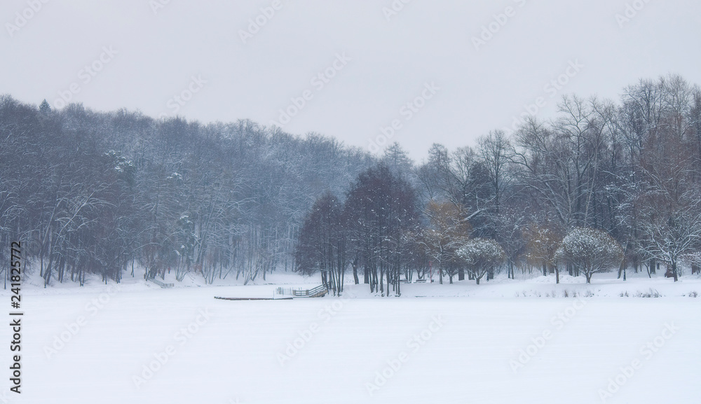 Frozen pond in the winter park. Snowfall.