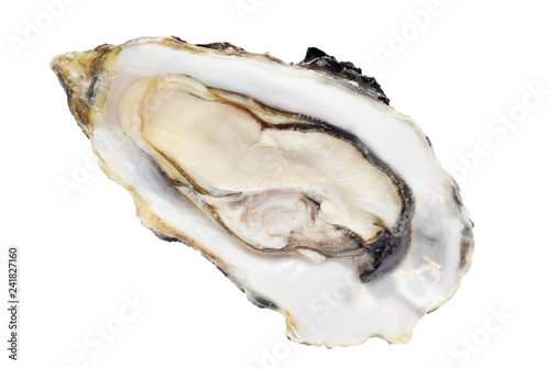 Frisch roh Auster isoliert auf weiß 