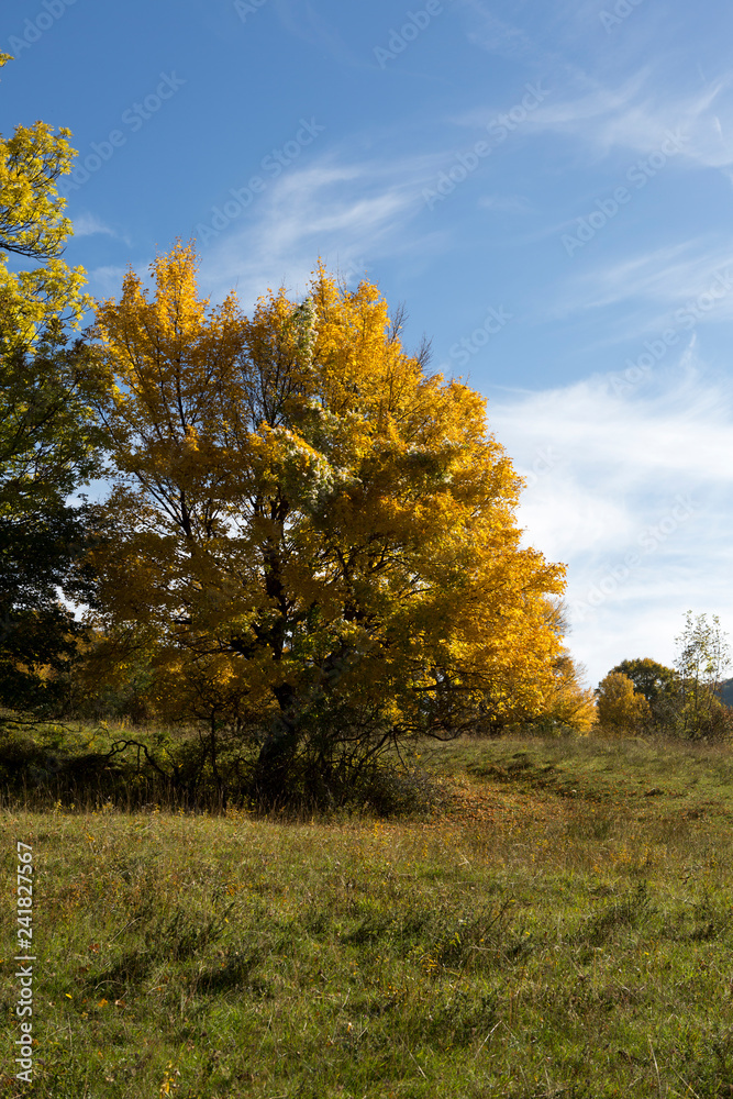 Herbstlandschaft Herbstlandschaft