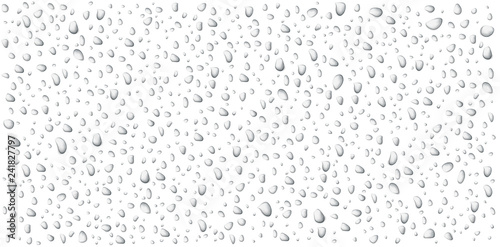Realistic water drops set isolated on white background. Beautiful background. Simple design. Vector illustration.
