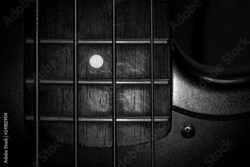 Bass Guitar Fret Board And Strings