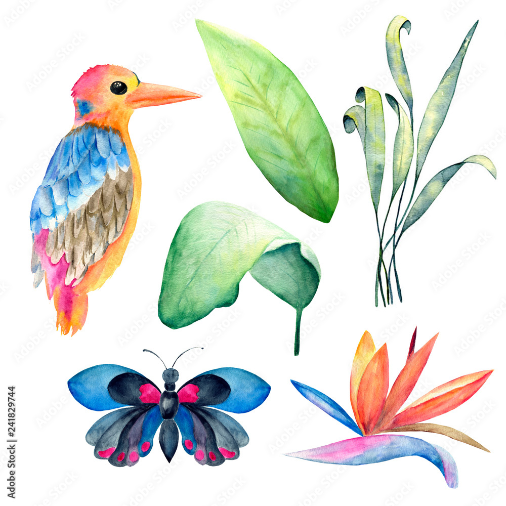 Fototapeta premium Set of exotic flora and fauna in cartoon style isolated on white. Web banner watercolor design.