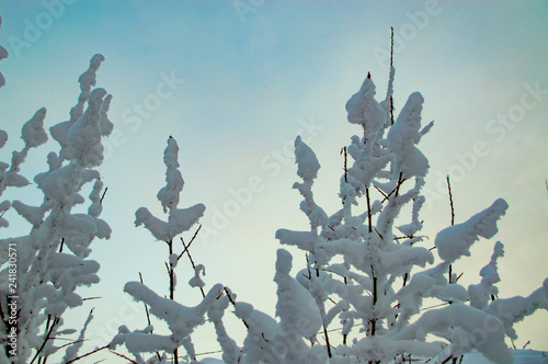 Photography Nature of moscow region