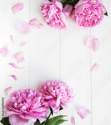 beautiful pink  peony flowers