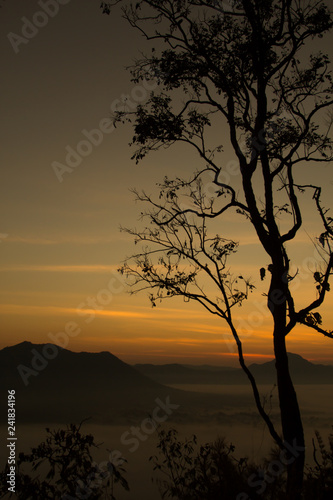 Silhouette of trees and Beautiful sky sunrise. Mountain layer in morning sun ray and winter fog.
