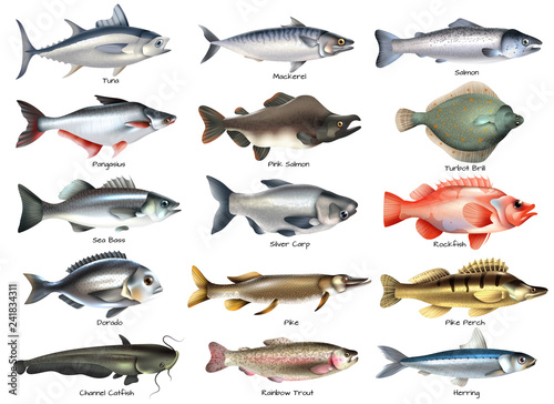 Fishes Icons Set