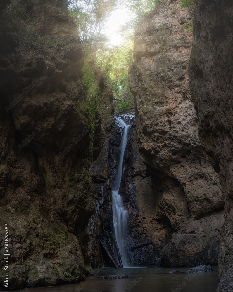 Obraz premium waterfall in forest