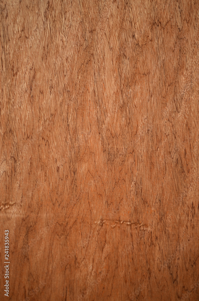 Naklejka premium Brown Wood Texture Background