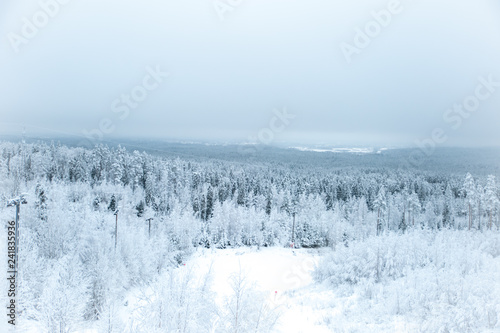 Winter landscape, mountain view of the forest in the snow, spruce and pine, sky and mountains