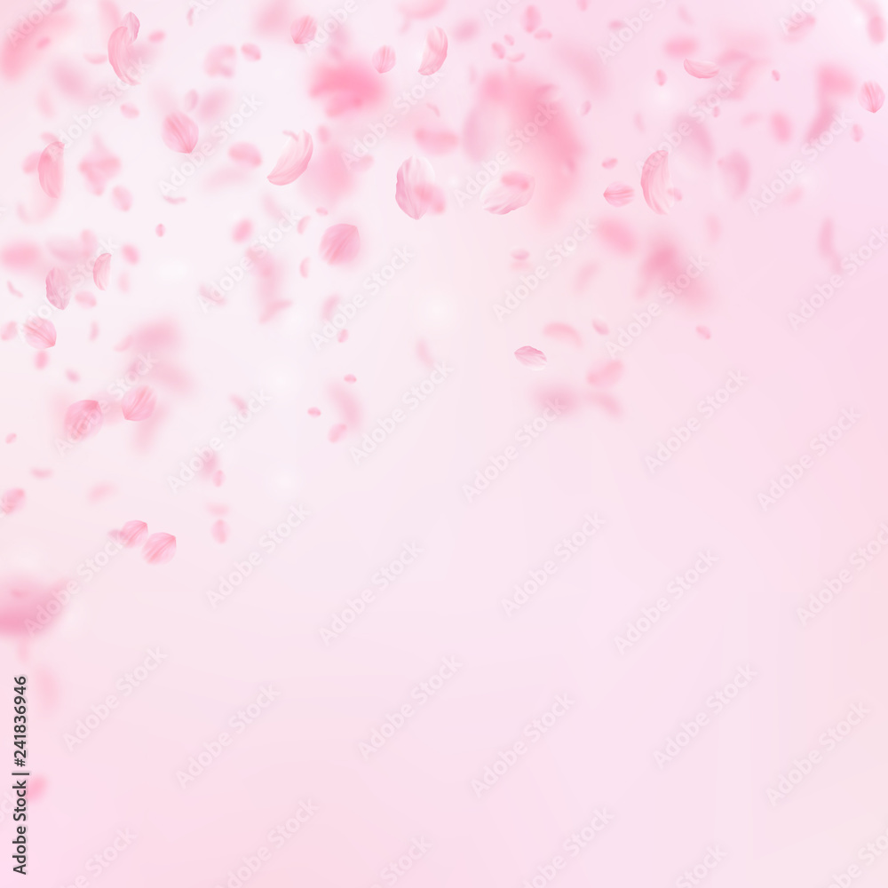 Sakura petals falling down. Romantic pink flowers 